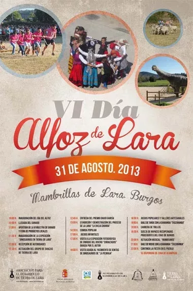 Día del Alfoz de Lara 2013