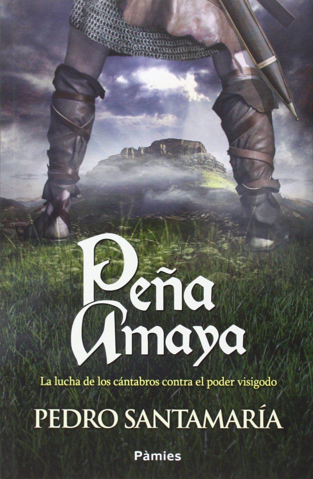 Peña Amaya Book Cover