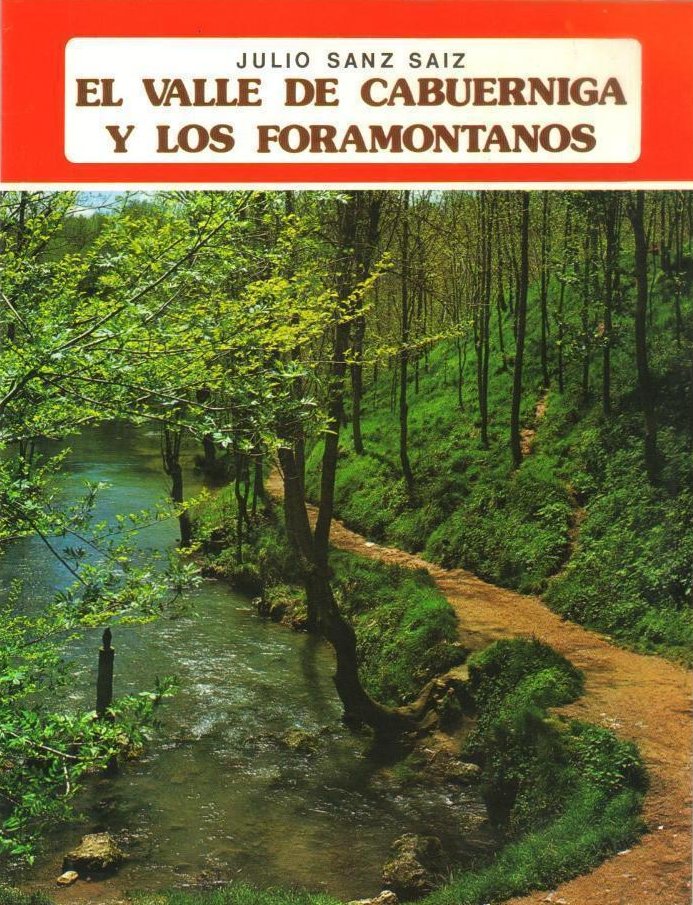 El Valle de Cabuérniga y los foramontanos Book Cover