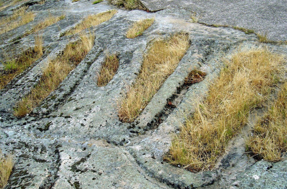 Necrópolis de Regumiel de la Sierra