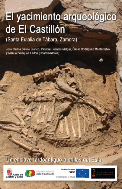 El yacimiento arqueológico de El Castillón (Santa Eulalia de Tábara, Zamora) Un enclave tardoantiguo a orillas del Esla Book Cover