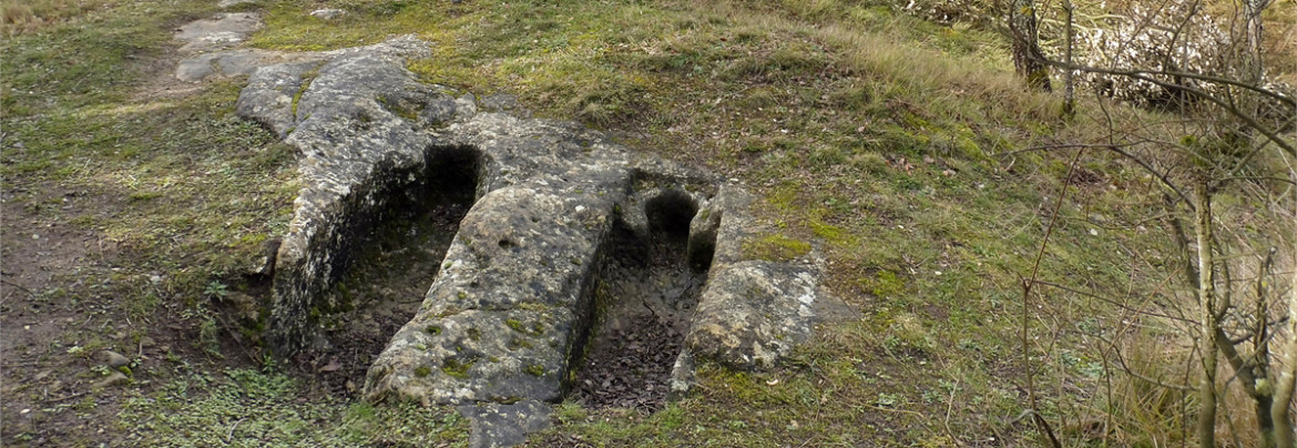 Necrópolis de San Formerio de Pangua