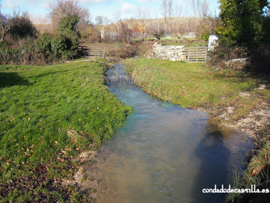 El río Ausín o Viejo a su paso por Modúbar de San Cibrián (Burgos)