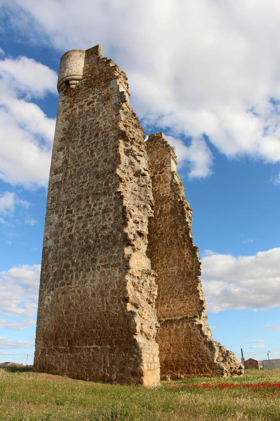Torre de Hoyales de Roa