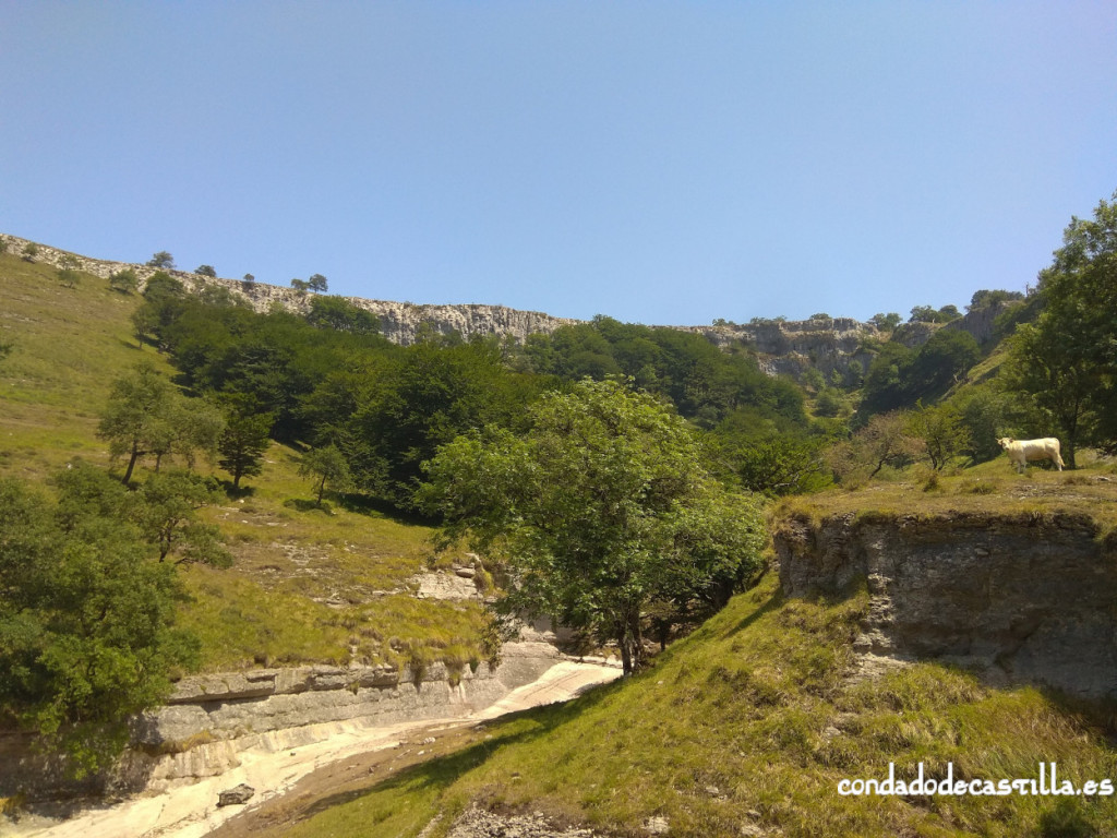 Cauce seco del arroyo de San Miguel antes del salto