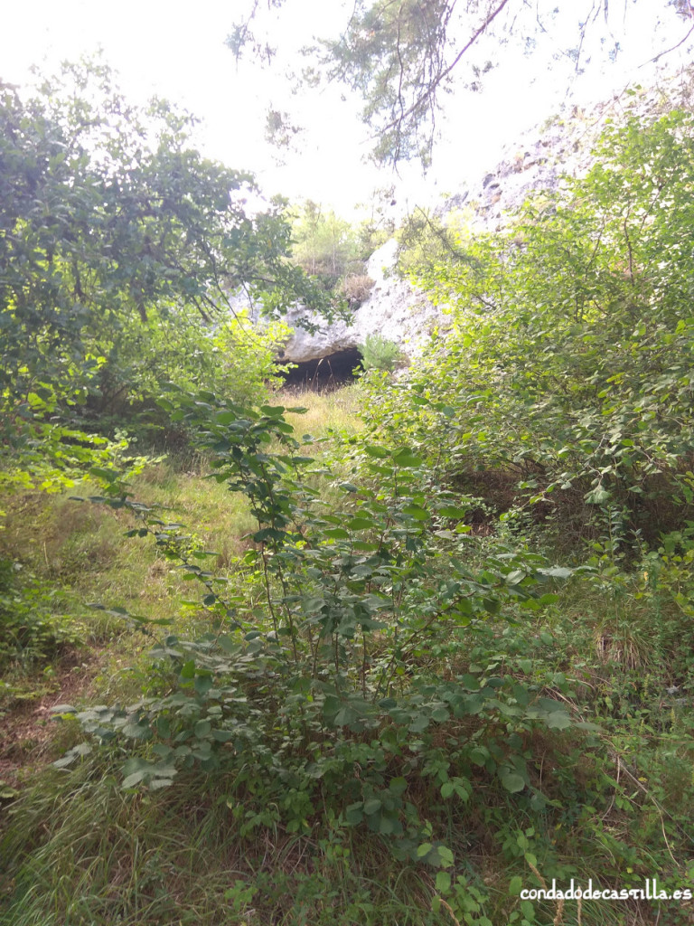 Cueva Rolloso en Valpuesta