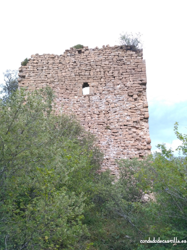 Torre de Astulez - Muro oeste