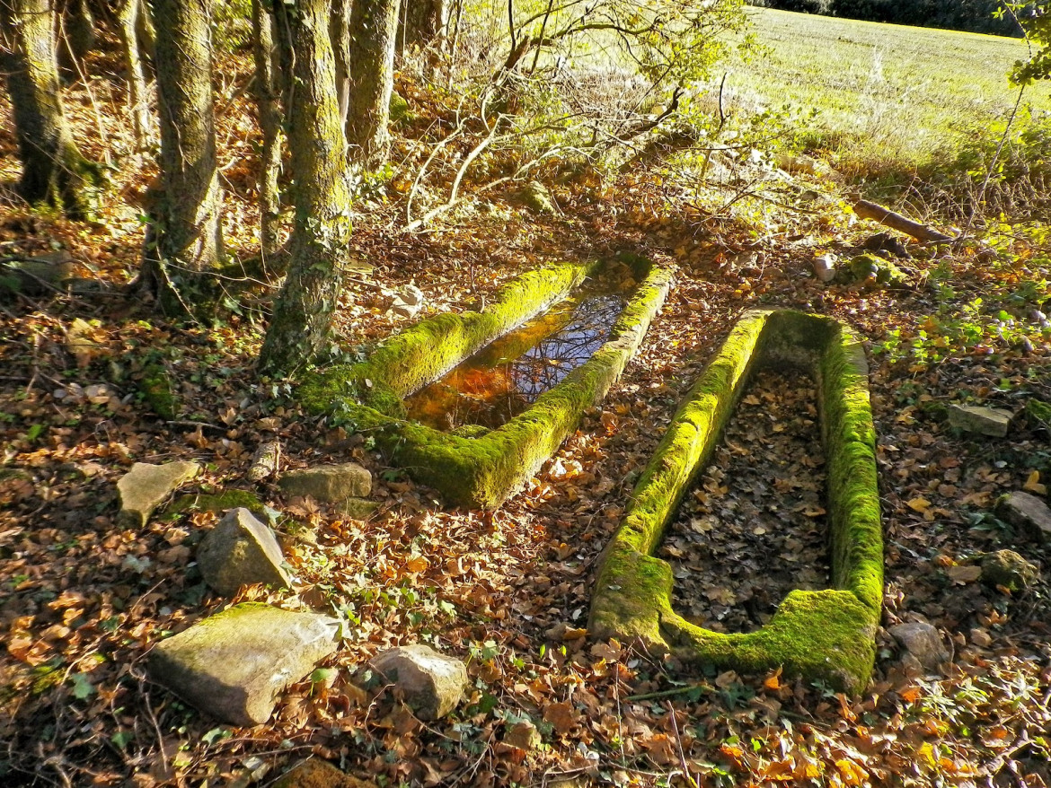 Necrópolis de Los Casales en Cripán (Álava)