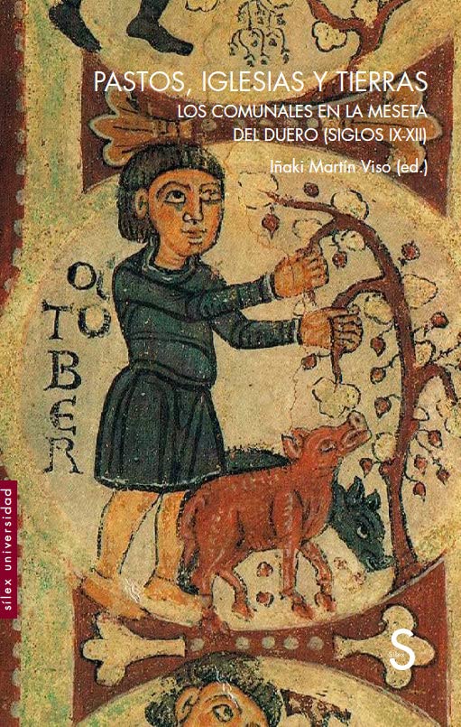 Pastos, iglesias y tierras: Los comunales en la Meseta del Duero (siglos IX-XII) Book Cover