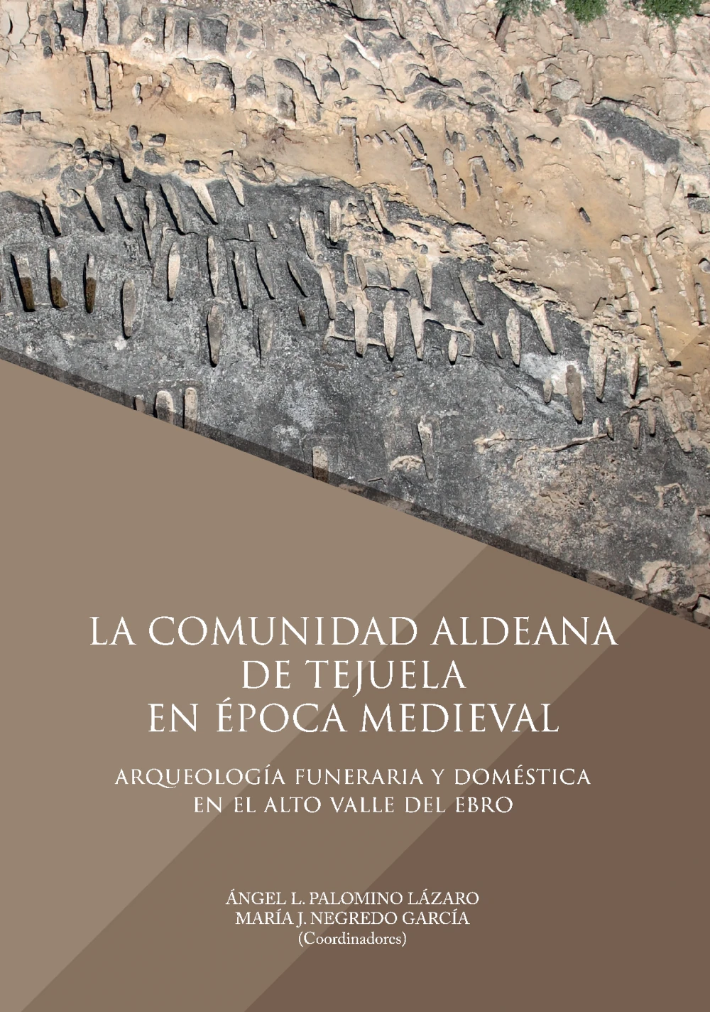 La comunidad aldeana de Tejuela en época medieval: Arqueología funeraria y doméstica en el alto valle del Ebro Book Cover