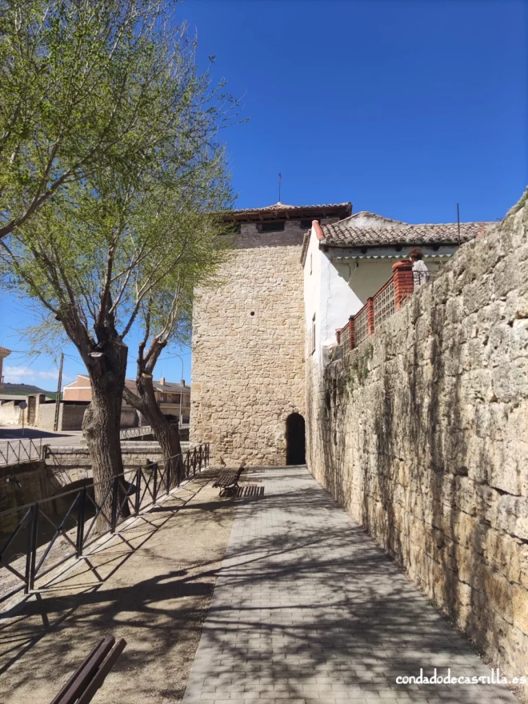 Detalle murallas de Dueñas