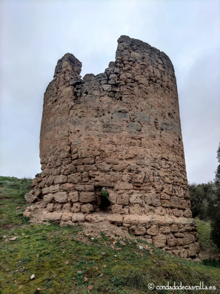 Castillo de Castrillo de la Vega o Torre del Monte o Atalaya del Montecillo 