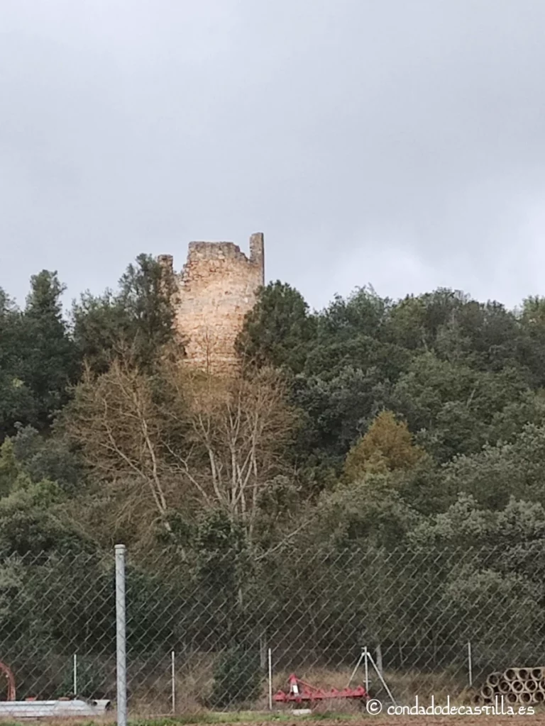 Castillo de Castrillo de la Vega o Torre del Monte o Atalaya del Montecillo 