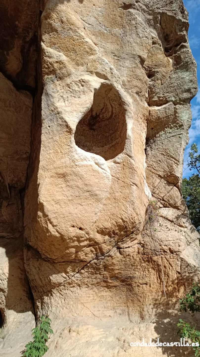 Celdas flanco norte de El Cuevatón