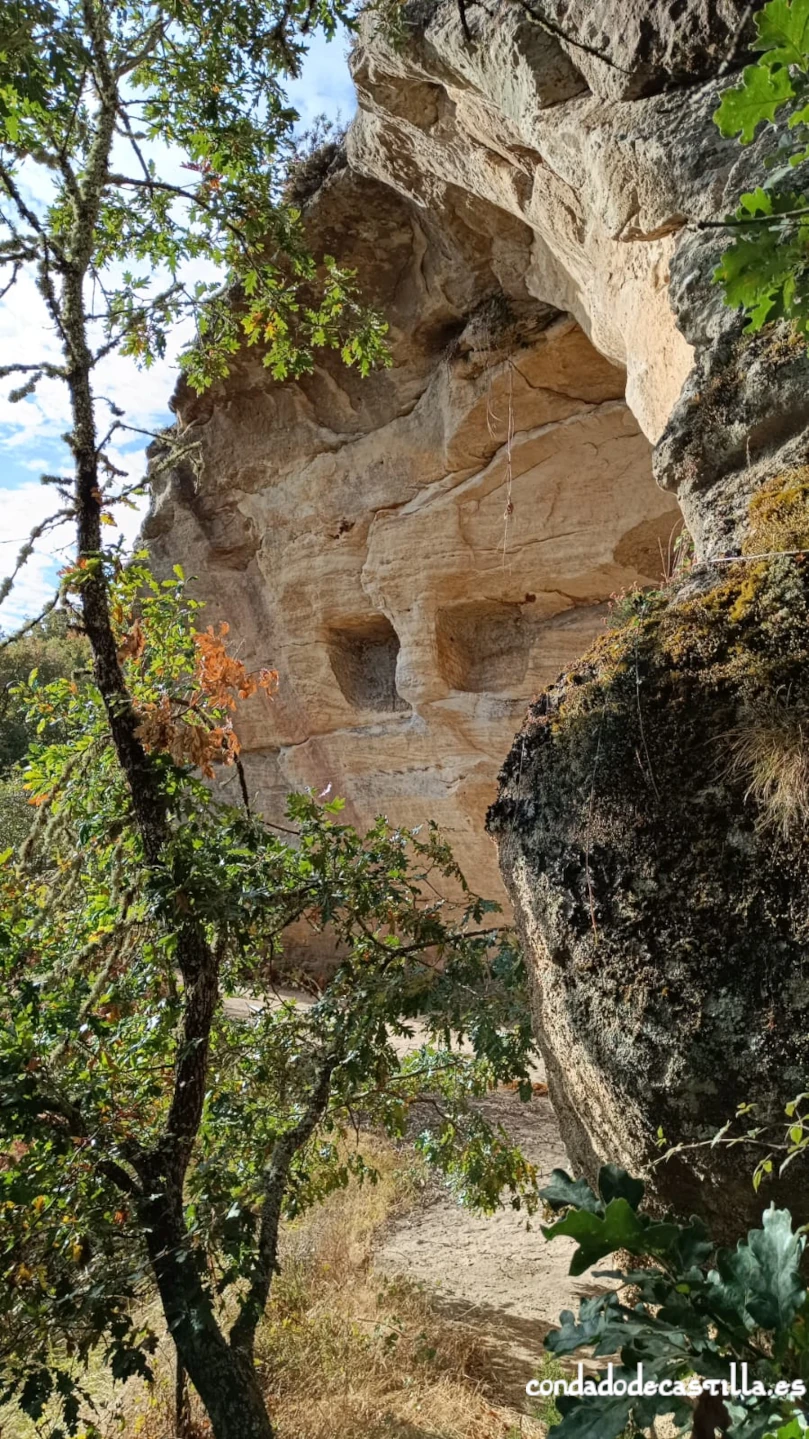 Celdas del flanco sur de El Cuevatón