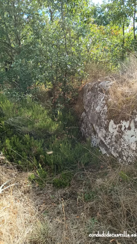 Necrópolis de San Andrés de Valdelomar