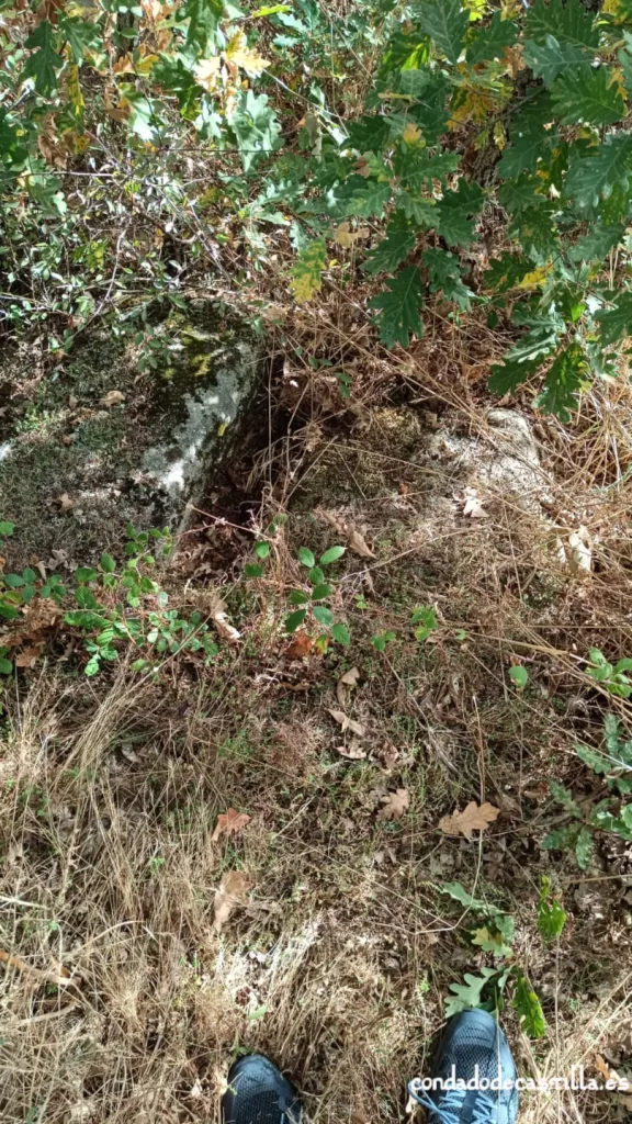 Necrópolis de San Andrés de Valdelomar