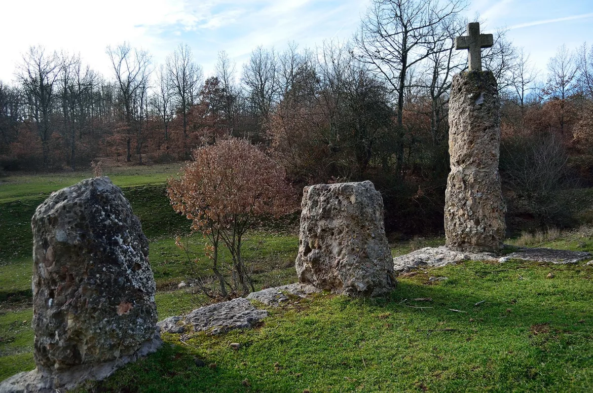 Restos de San Miguel de Froncea (Arlanzón)
